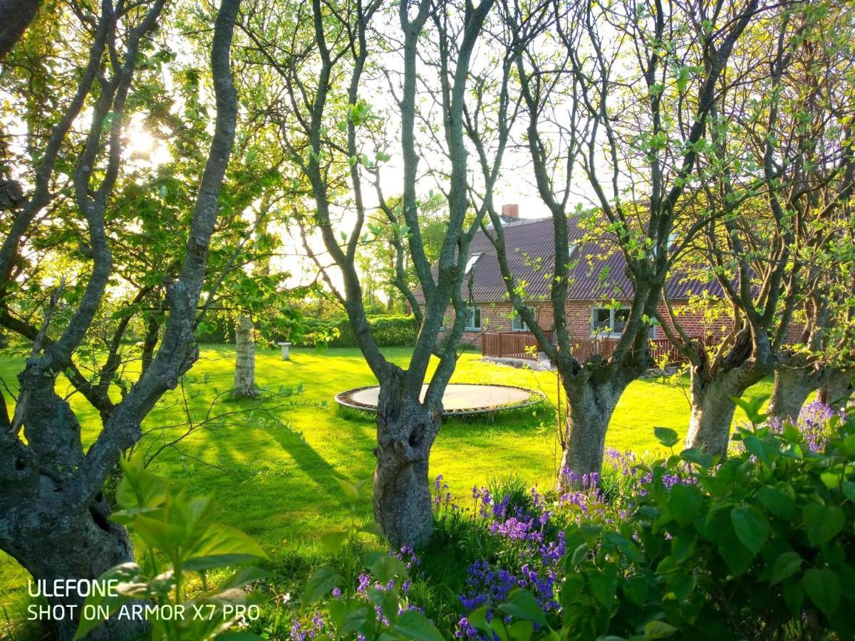 Lilleledgaard Country House Ringkøbing Екстериор снимка