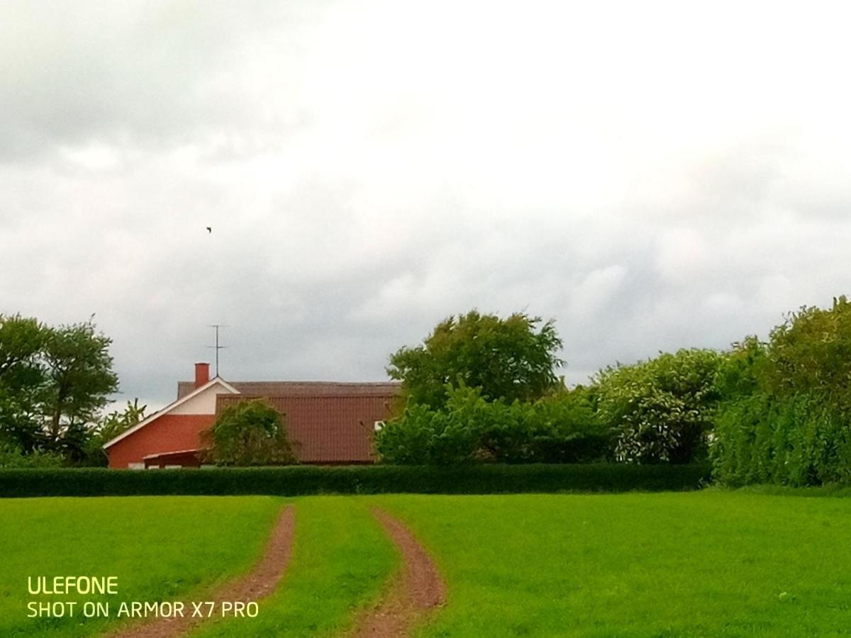 Lilleledgaard Country House Ringkøbing Екстериор снимка